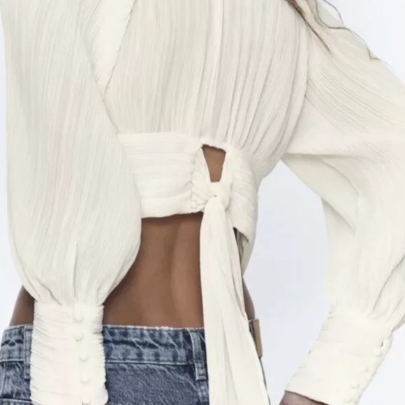 Zara Pleated Balloon Sleeve Blouse - Picture 2 of 9